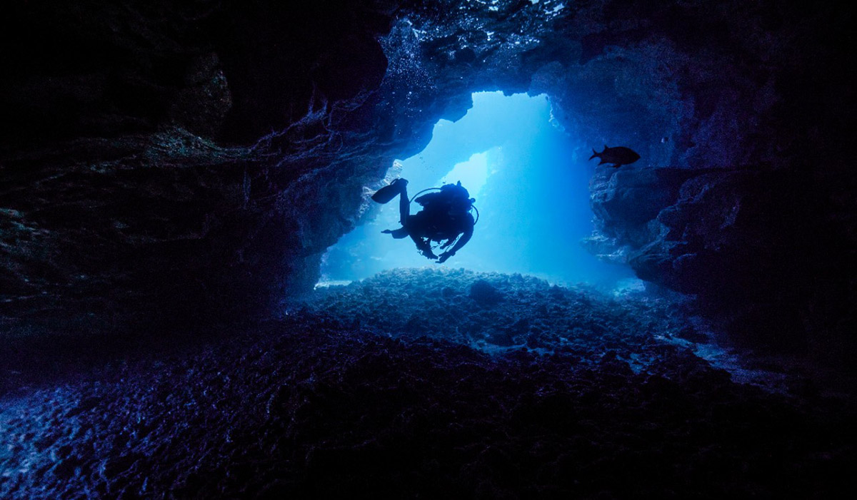 Garmin diver